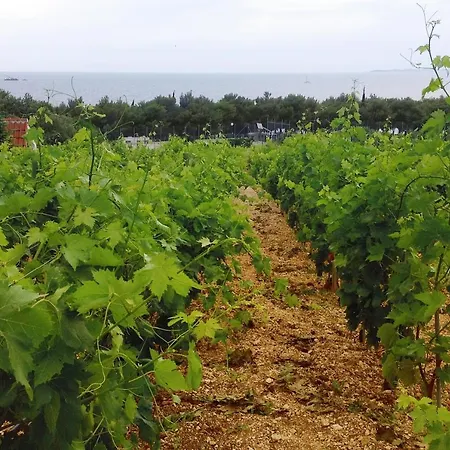 Apartment With A Parking Space - 4268