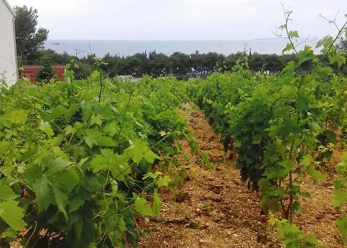 Apartmán With A Parking Space - 4268